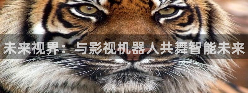 精东影业免费观看