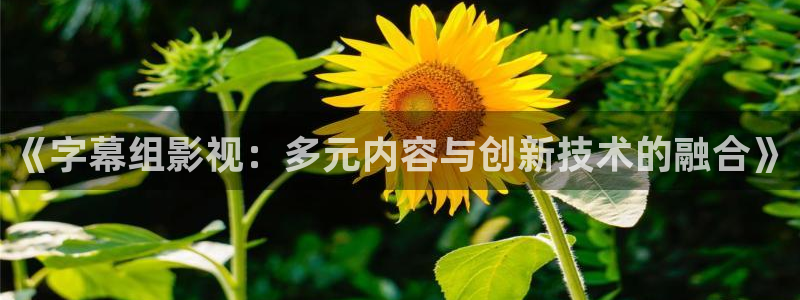 精东 影业
