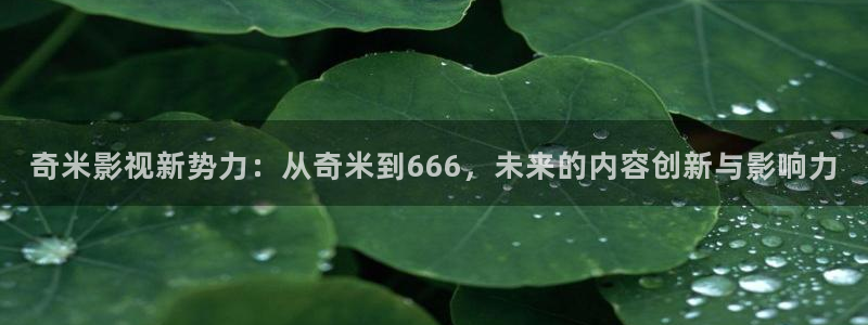 免费看精东影业